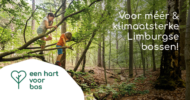 Een Hart voor Bos | Voor méér en klimaatsterke Limburgse bossen!