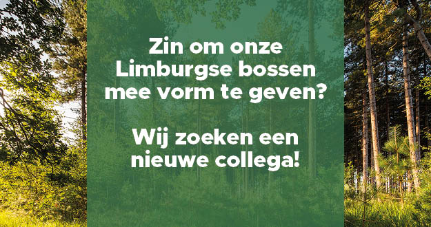 Zin om onze Limburgse bossen mee vorm te geven? Wij zoeken een nieuwe collega!