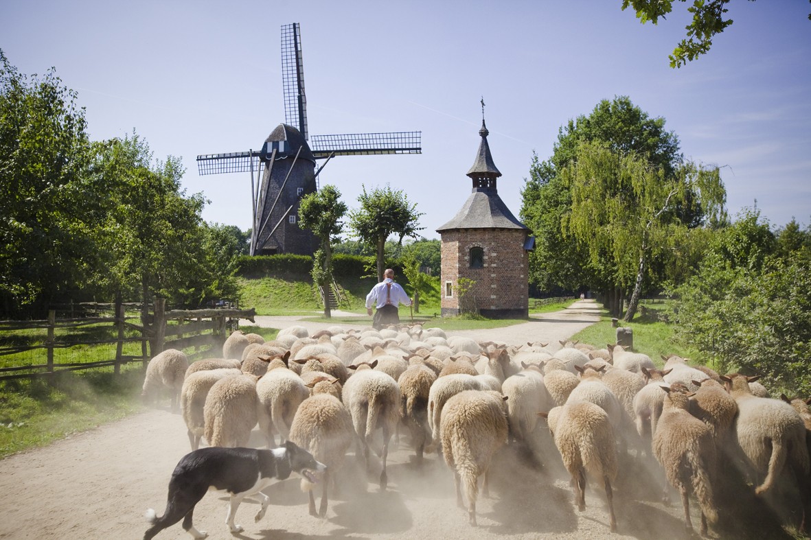 Openluchtmuseum Bokrijk