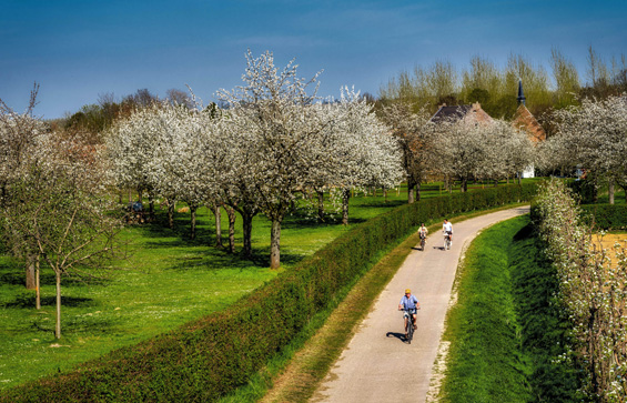 Bloesemtocht in Haspengouw